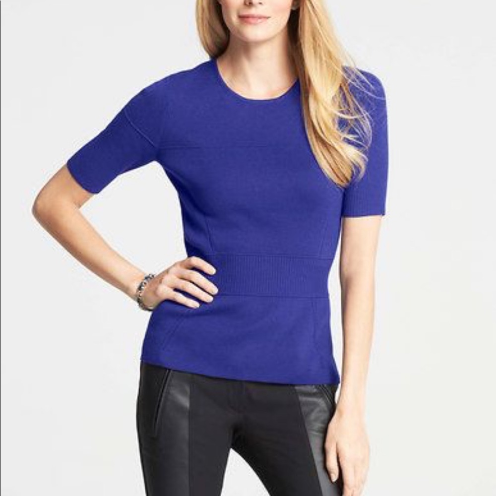 NWT Ann Taylor ribbed cobalt short sleeve sweater